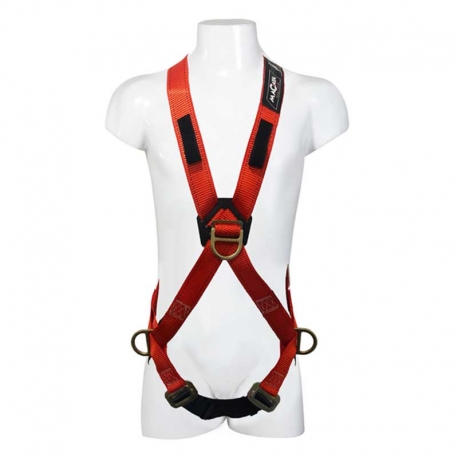 ARNES 3 ARG ESTANDAR (copiar)