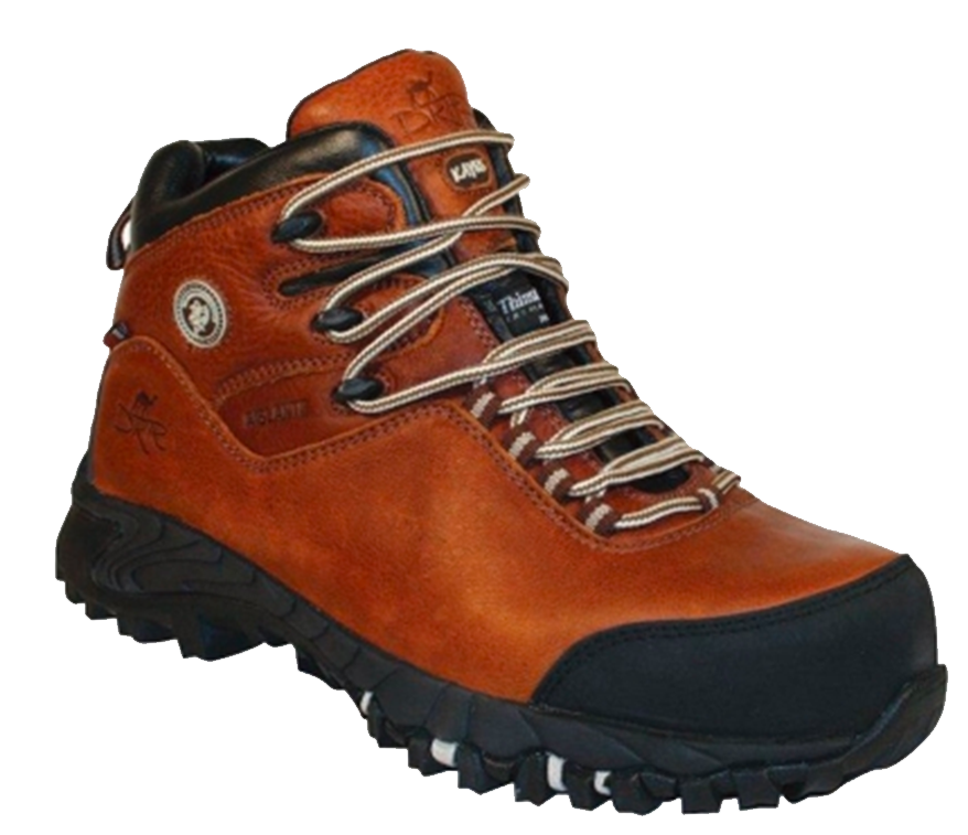 BOTIN AMERICAN SHOE DKR KAYES THC 2450