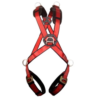 ARNES RED HAWK RESCUE