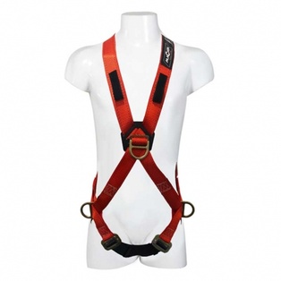 ARNES 3 ARG ESTANDAR (copiar)