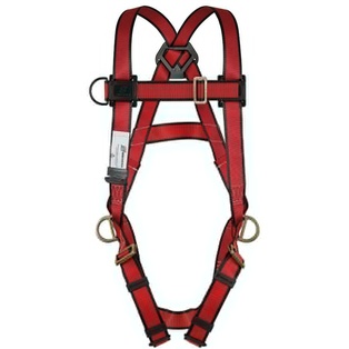 ARNES YARDBIRD S/CINT 3 ARGOLLAS (3A) (AP) 